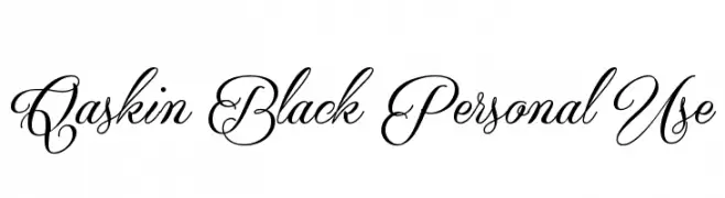 Qaskin Black Personal Use  Скачать бесплатные шрифты