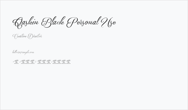 Qaskin Black Personal Use Business Card