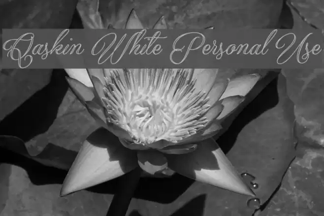 Qaskin White Personal Use Font examples