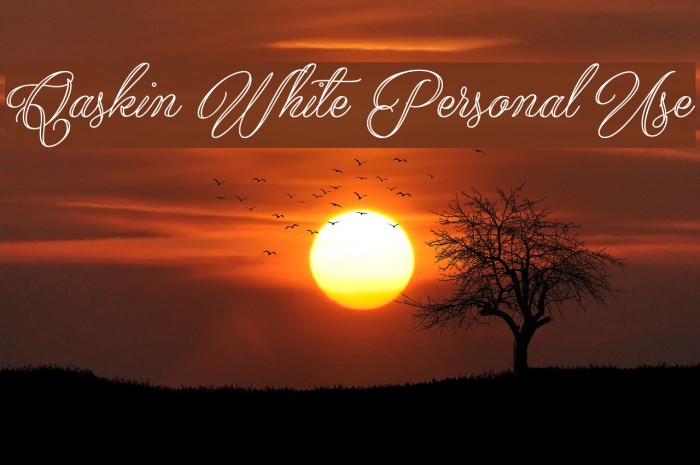 Qaskin White Personal Use Font examples