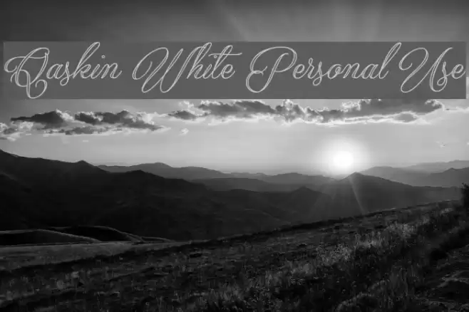 Qaskin White Personal Use Font examples