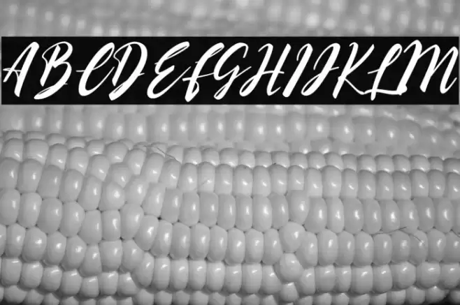 Qasshim Font examples