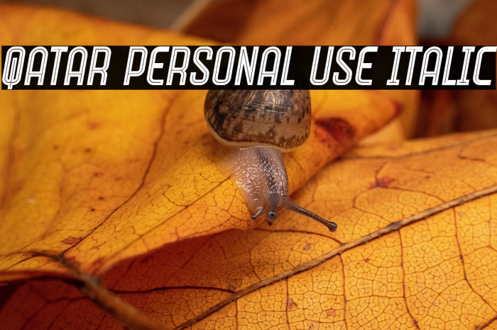 Qatar Personal Use Italic Example 1