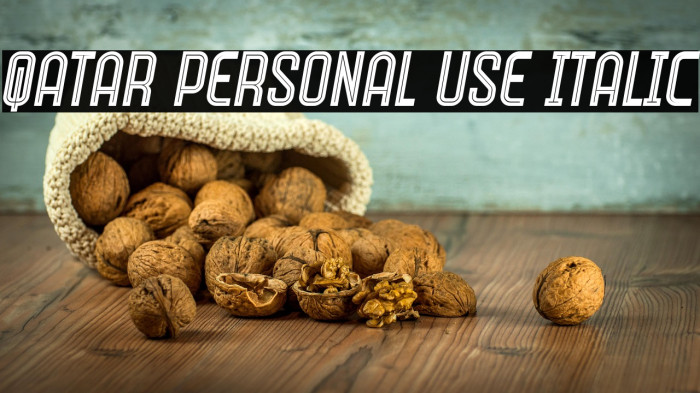 Qatar Personal Use Italic Example 2