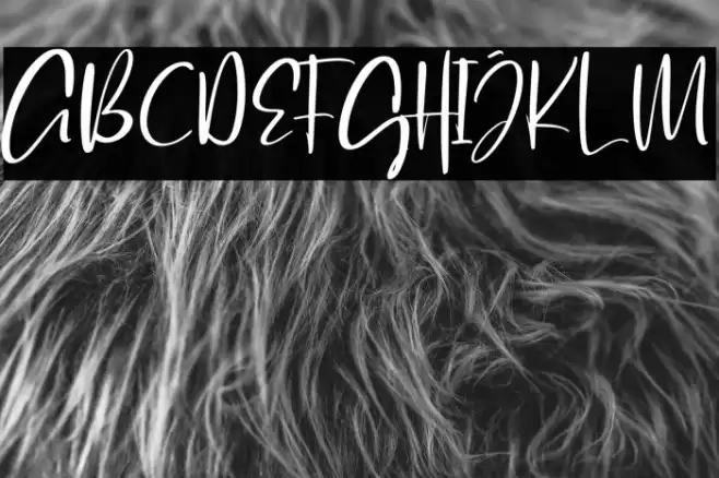 QatarCapitalDemo Font examples