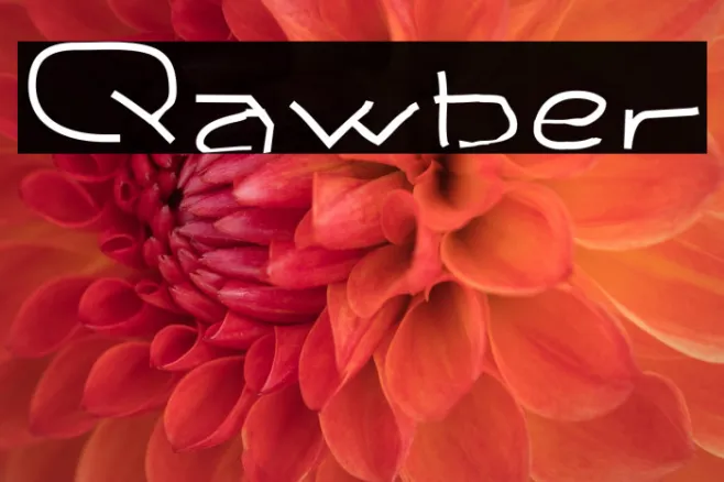 Qawber Example 2
