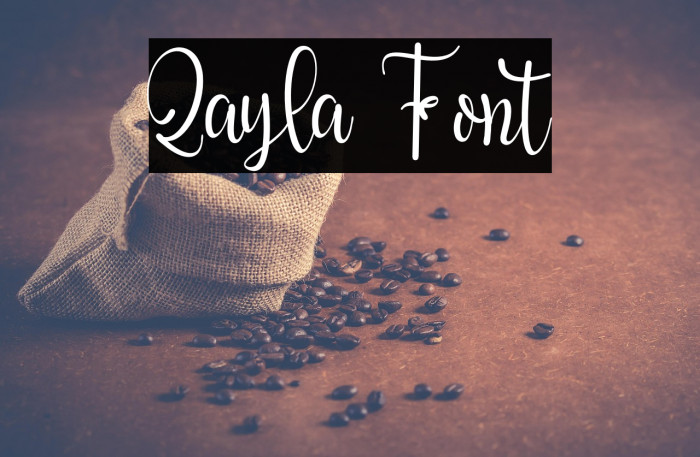 Qayla Example 2