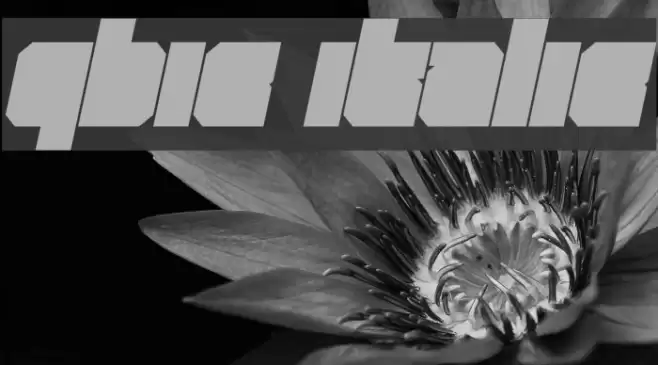 Qbic Italic Font examples