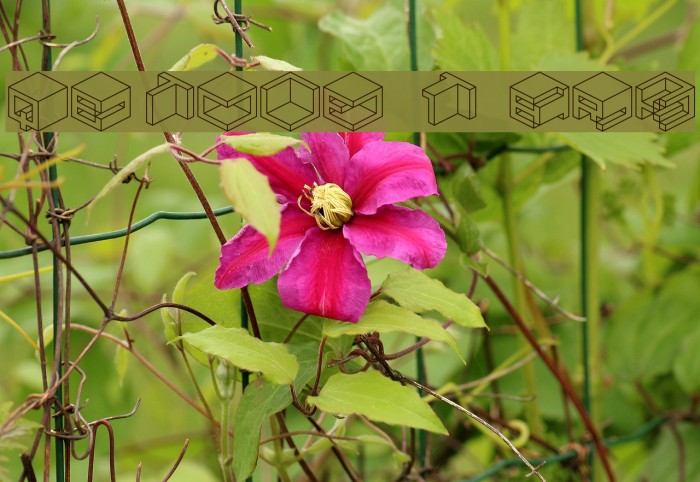 Qbicle 1 BRK Caratteri examples