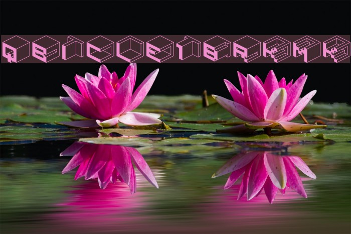 Qbicle1BRKMK Font examples