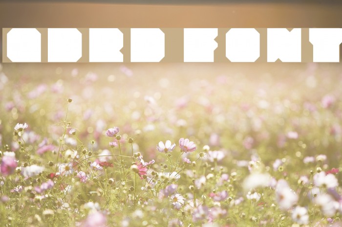 qdrd Font examples