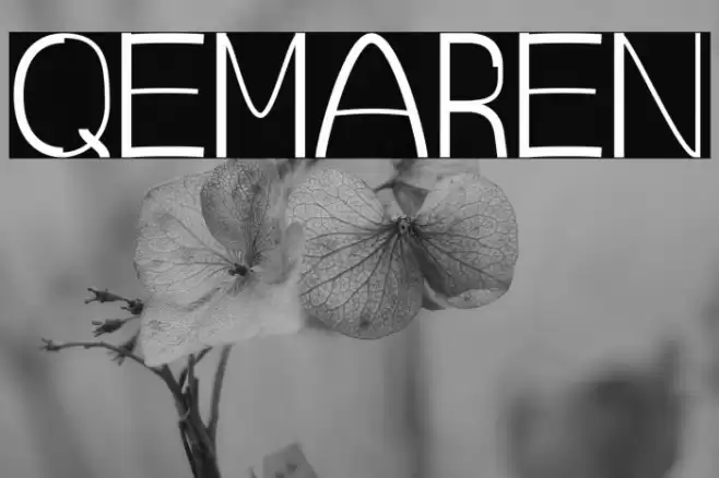 QEMAREN Font examples