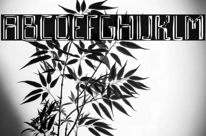 Qebrada Font examples