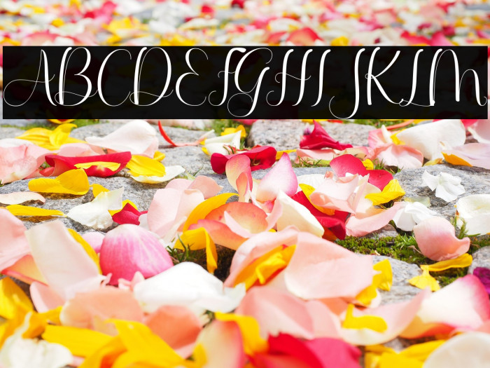 QellyViolentia Example 3