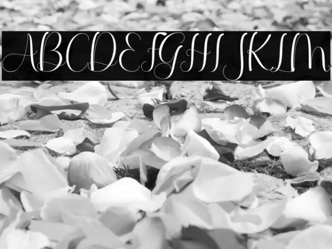 QellyViolentia Font examples