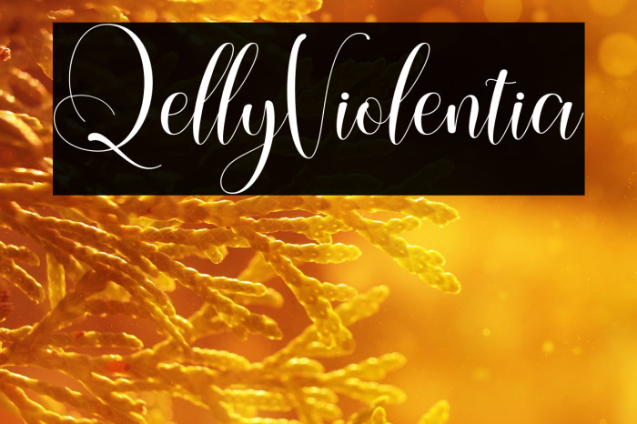 QellyViolentia Example 2