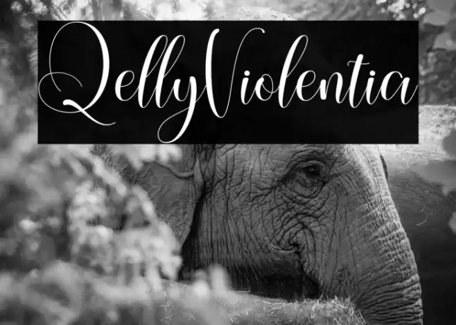 QellyViolentia Font examples