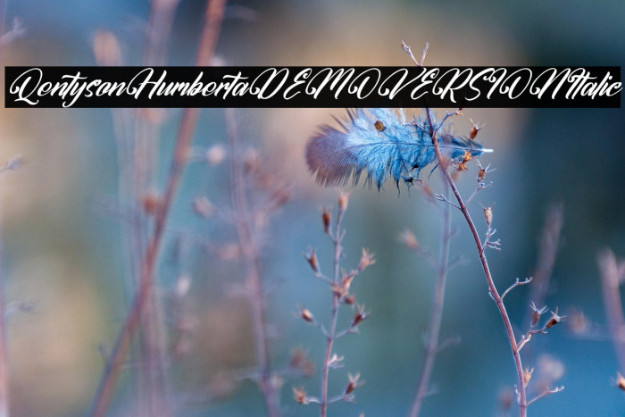 Qentyson Humberta DEMO VERSION Italic Example 1