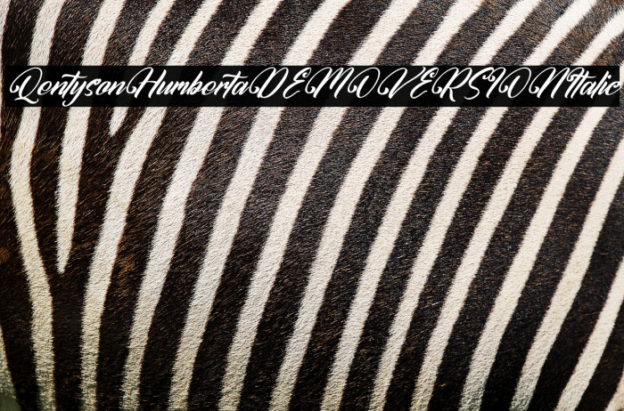 Qentyson Humberta DEMO VERSION Italic Example 3