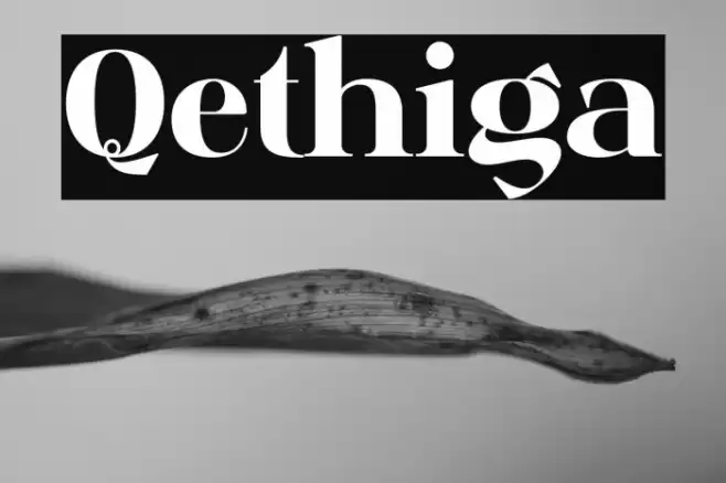 Qethiga フォント examples