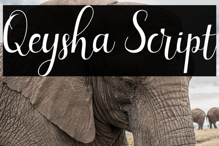 Qeysha Script لخطوط تنزيل examples