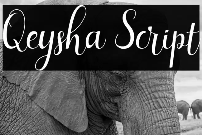 Qeysha Script Font examples