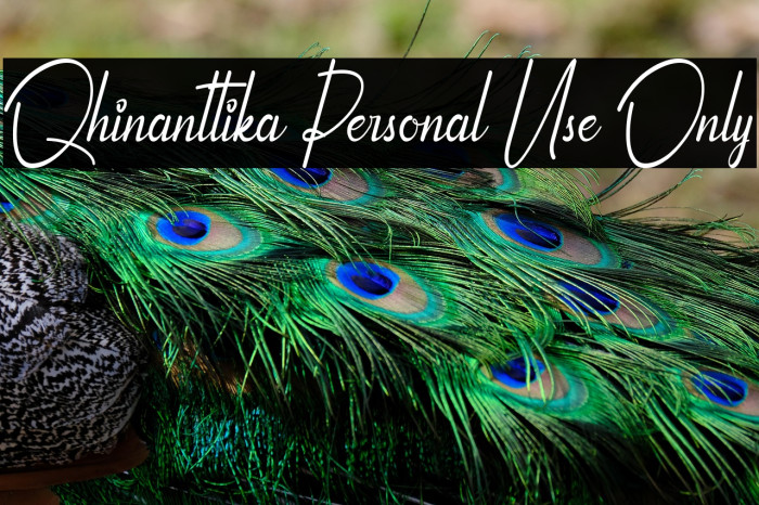 Qhinanttika Personal Use Only Example 3