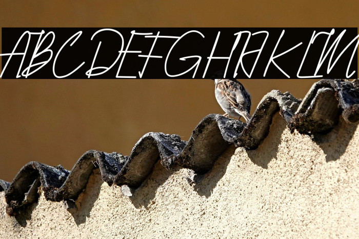 Qhueeny Signature Example 1