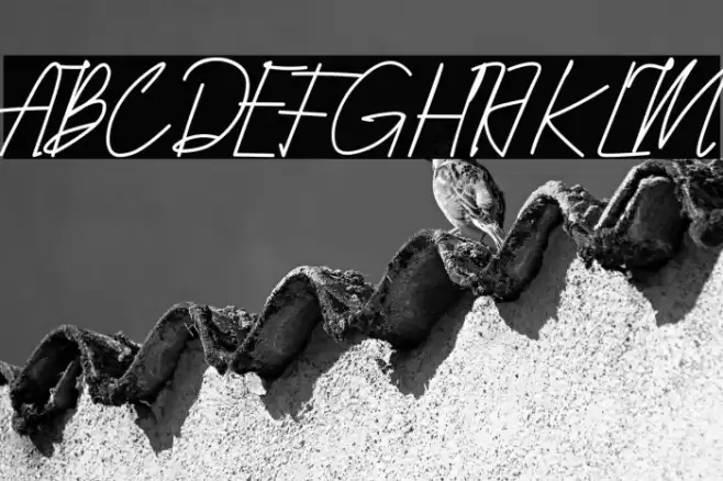 Qhueeny Signature Font examples