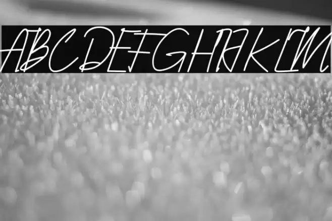 Qhueeny Signature Font examples