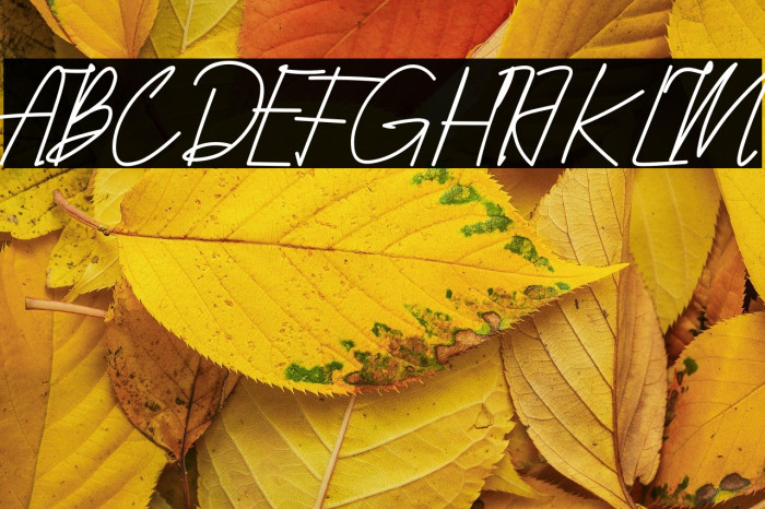 Qhueeny Signature Example 3