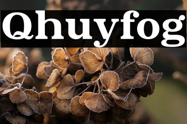 Qhuyfog Example 2