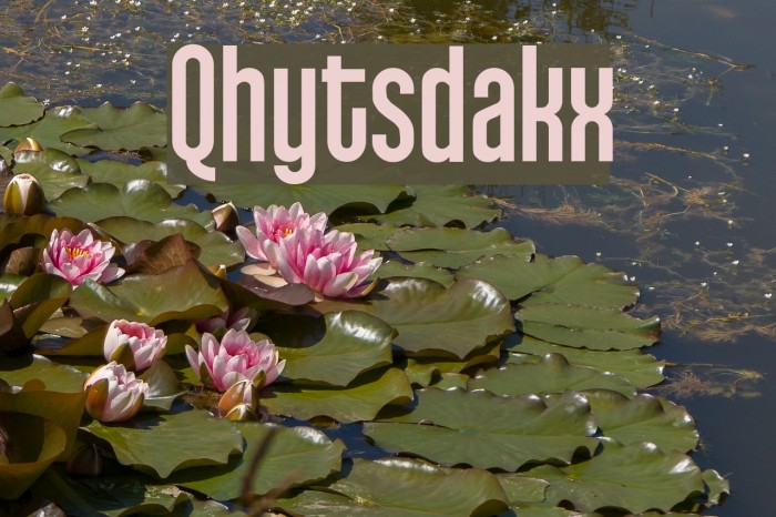 Qhytsdakx フォント examples