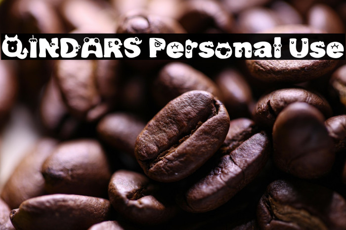 QINDARS Personal Use Example 1