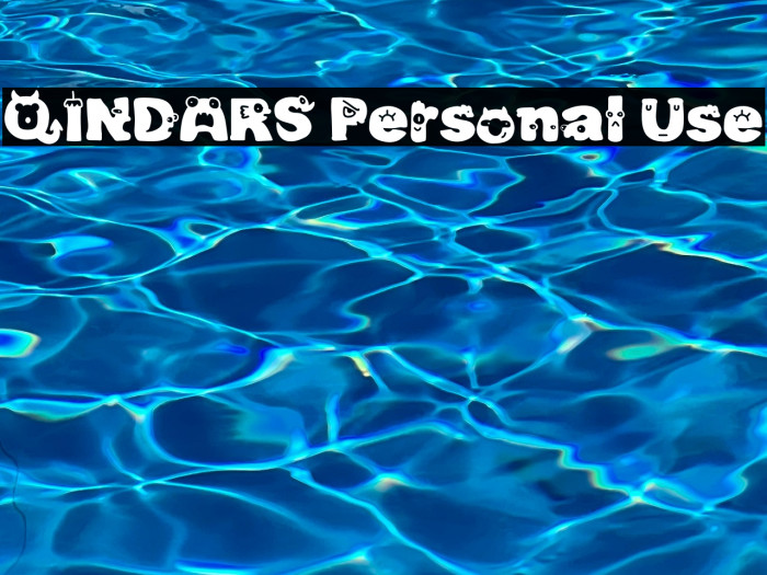 QINDARS Personal Use Example 2