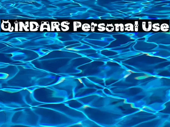 QINDARS Personal Use Example 2