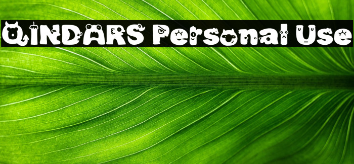 QINDARS Personal Use Example 3