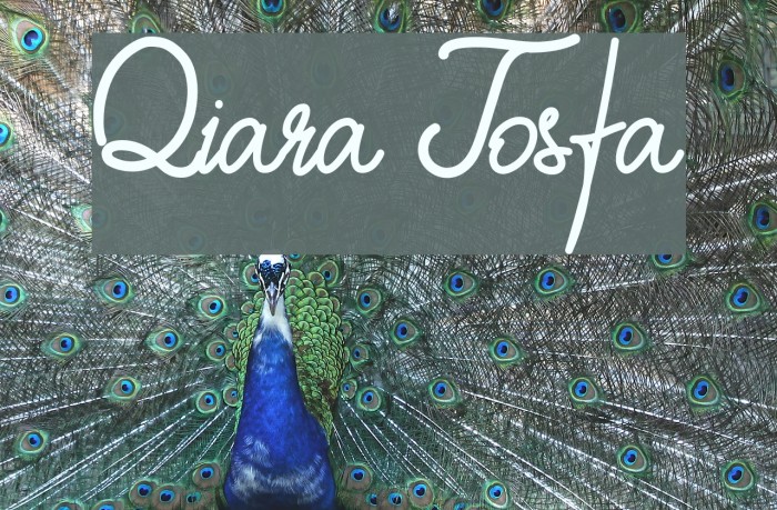 Qiara Tosfa Font examples