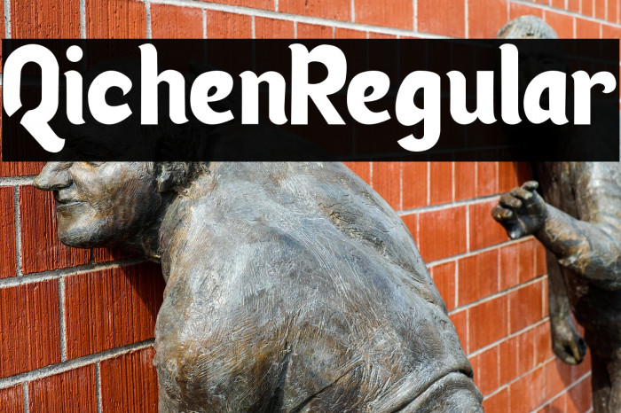 Qichen-Regular Example 1