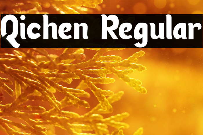 Qichen Regular Example 3