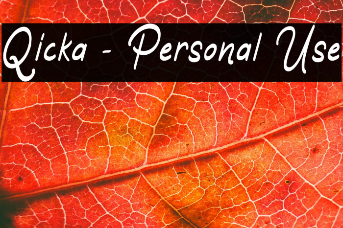 Qicka - Personal Use Example 2