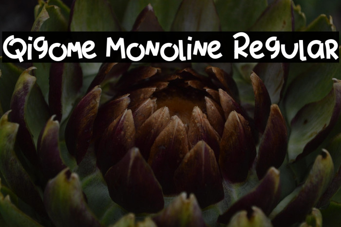 Qigome Monoline Regular Example 2