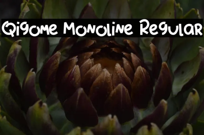 Qigome Monoline Regular Example 2