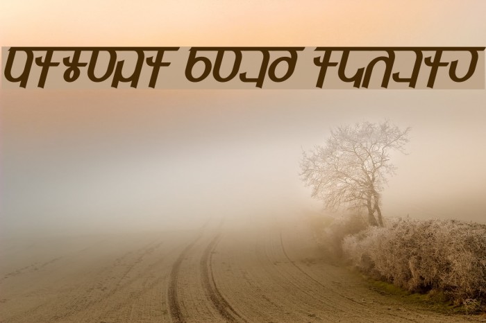 Qijomi Bold Italic Font examples