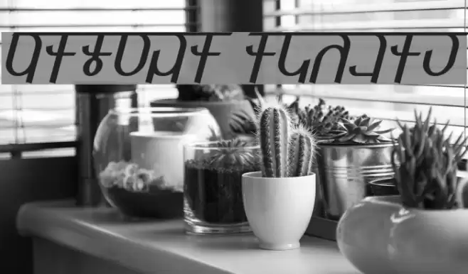 Qijomi Italic Font examples