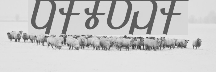 Qijomi Font examples