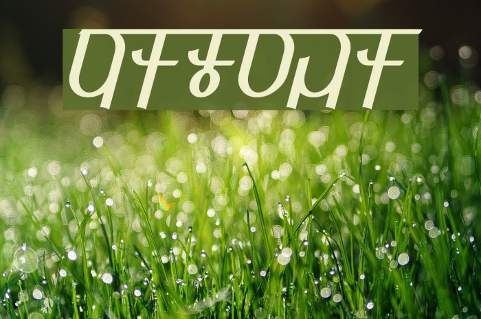 Qijomi Font examples