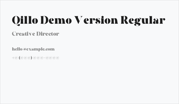 Qillo Demo Version Regular Business Card