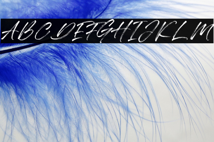 Qillsey Einstein Example 1