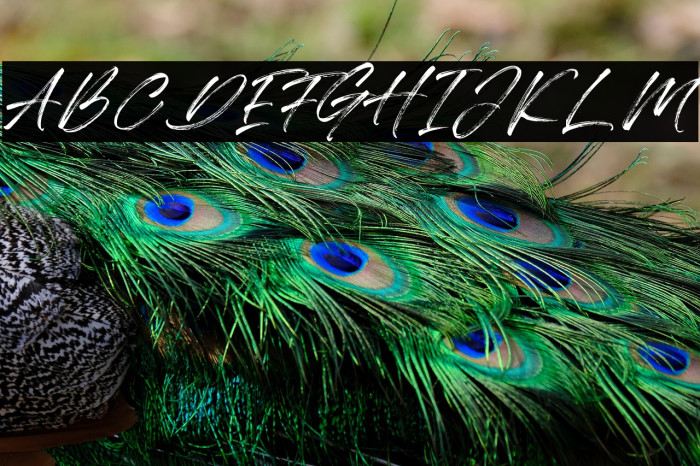 Qillsey Einstein Example 2